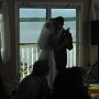 IMG_0165